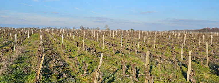 Clos des Bretèches