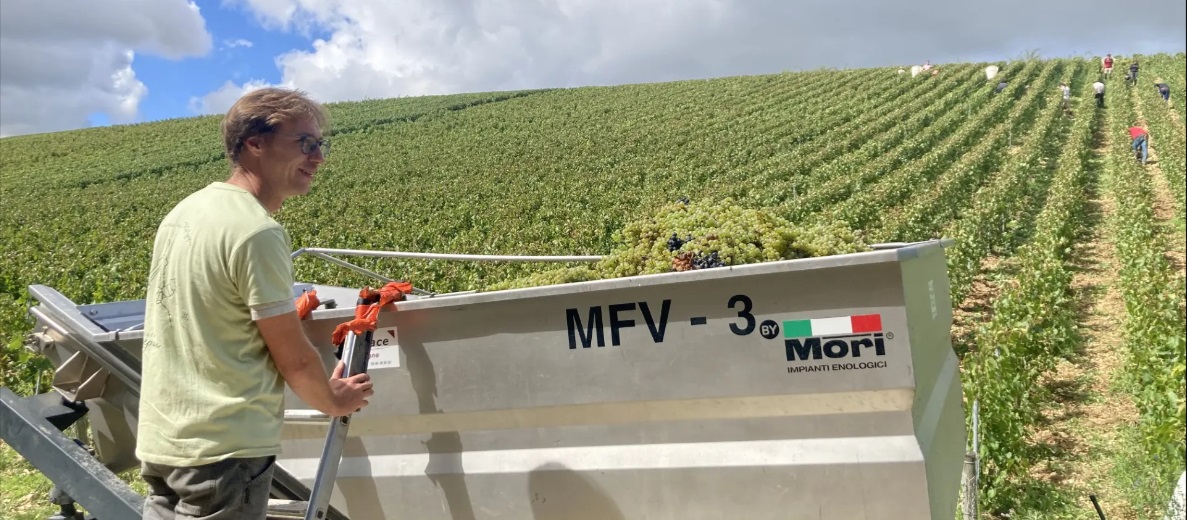 Domaine du Triptyque