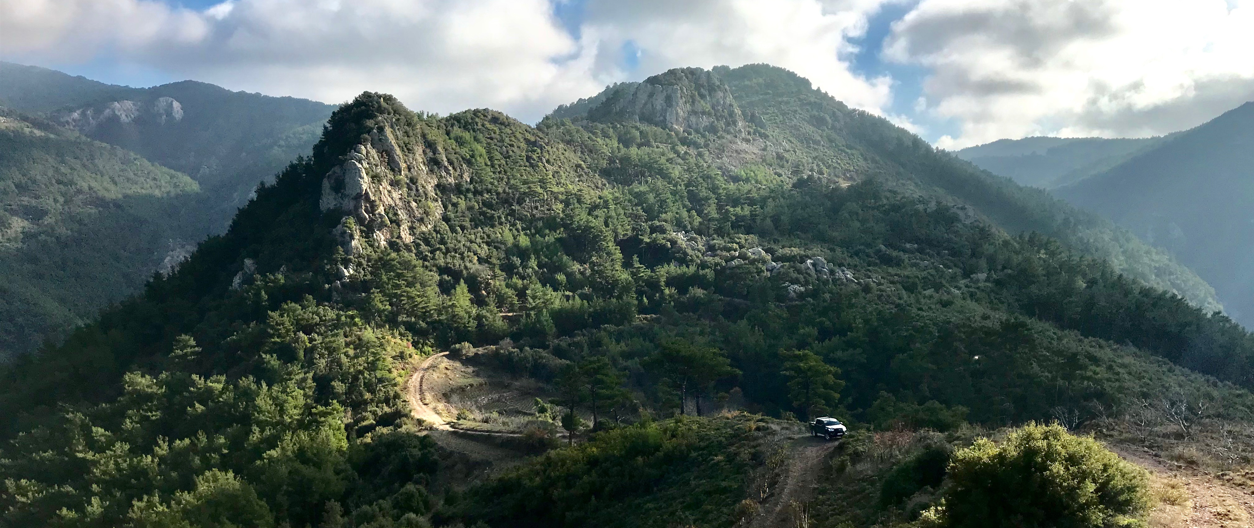 Sous le Végétal