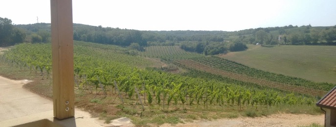 Sauro Maule